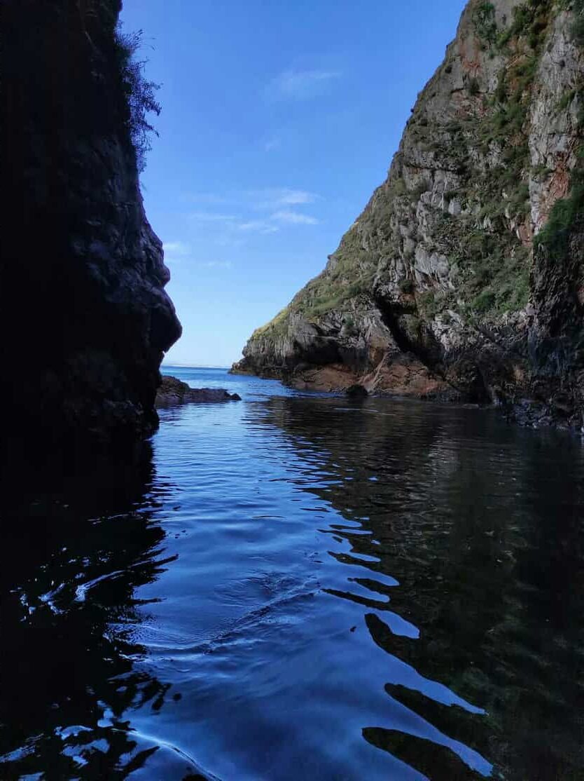 Foto de Saída de gruta na Berlenga