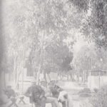 Foto preto e branco Peniche Antigo de Jardim Público em princípios do século XX